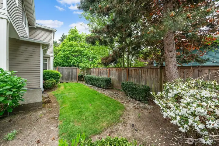 Back yard is maintained by HOA