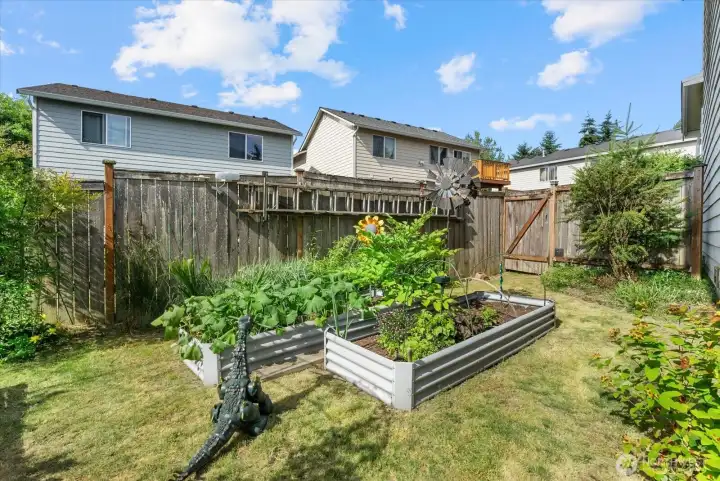 Established vegetable garden area with fertile soil and optimal sun exposure.