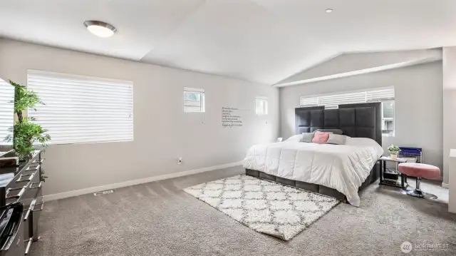 Spacious primary bedroom with vaulted ceilings.