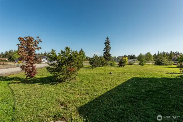 Front Yard