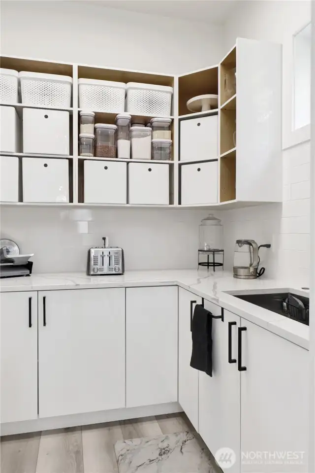Specious butler style pantry with sink