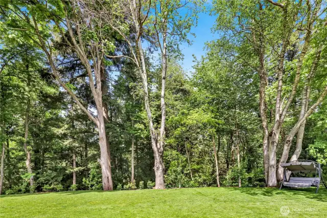 Your beautiful, peaceful  back yard