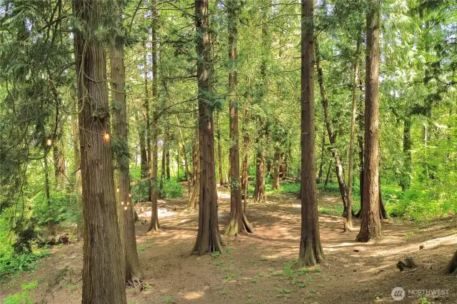 Don't miss the opportunity to turn this into your paradise
