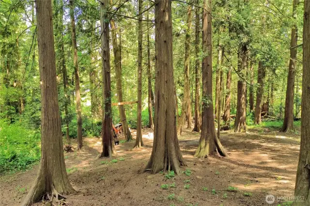 Making lifetime memories at your back yard / your own paradise