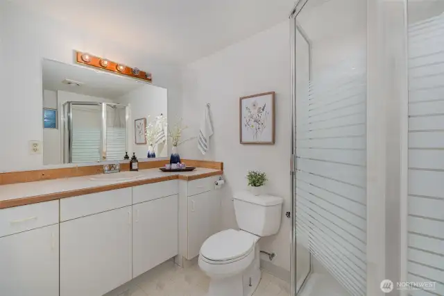 Lower-level bathroom