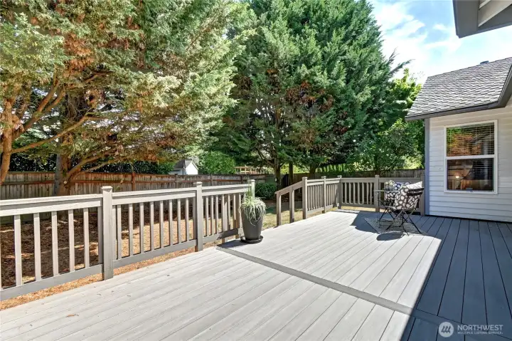 Look at this entertaining composite deck!