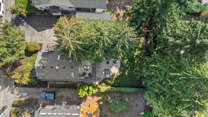 Overhead view