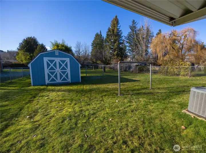 Nice shed in the back yard