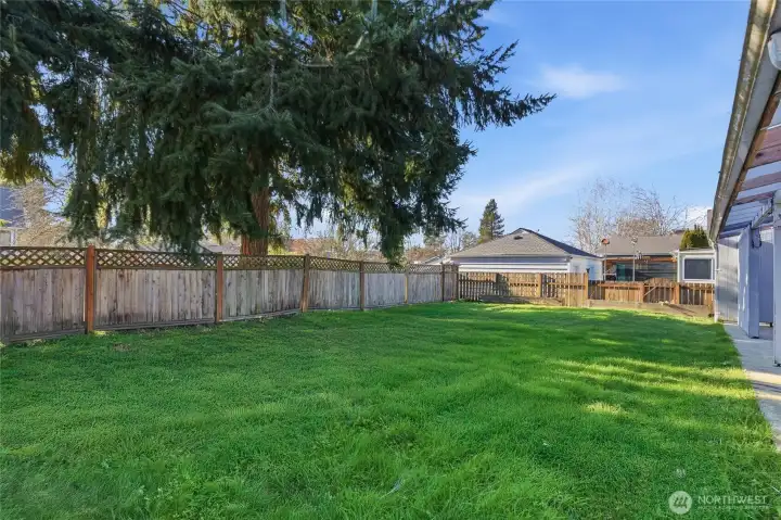 Fully Fenced Backyard.