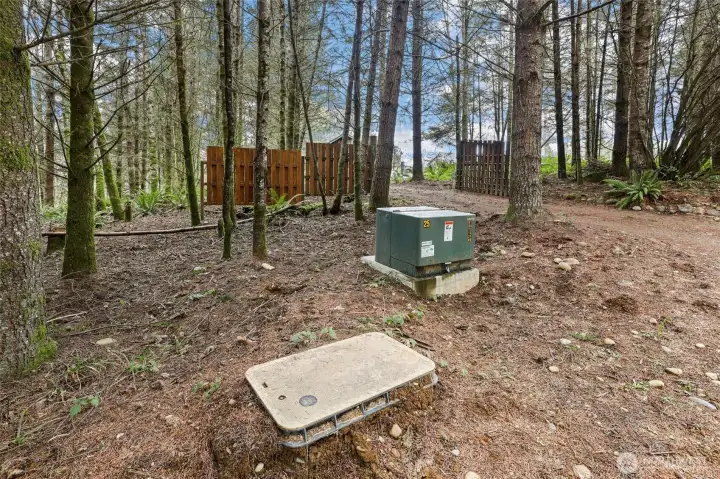 New underground electrical service