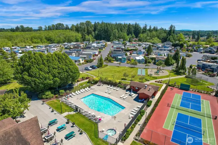 Pool & tennis/pickle ball courts
