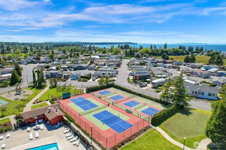 Tennis & pickle ball courts