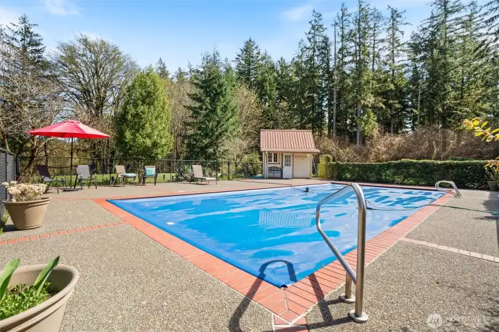 This pool is approximately 20 x 40 and includes an automatic cover (w/ new track).