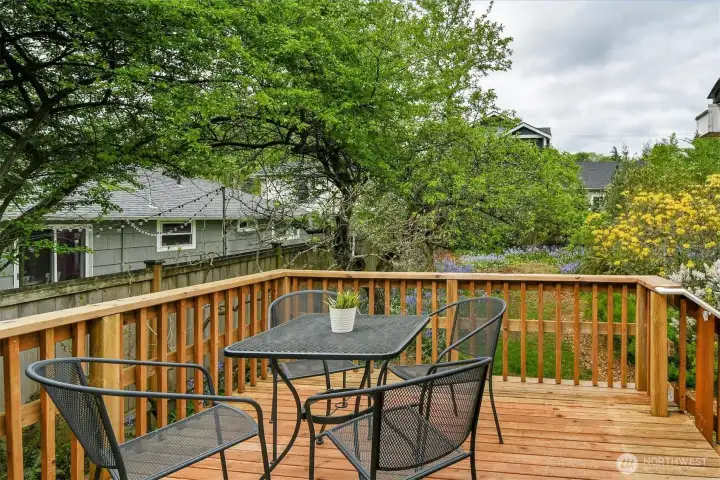 The Deck Looking Out on the Garden