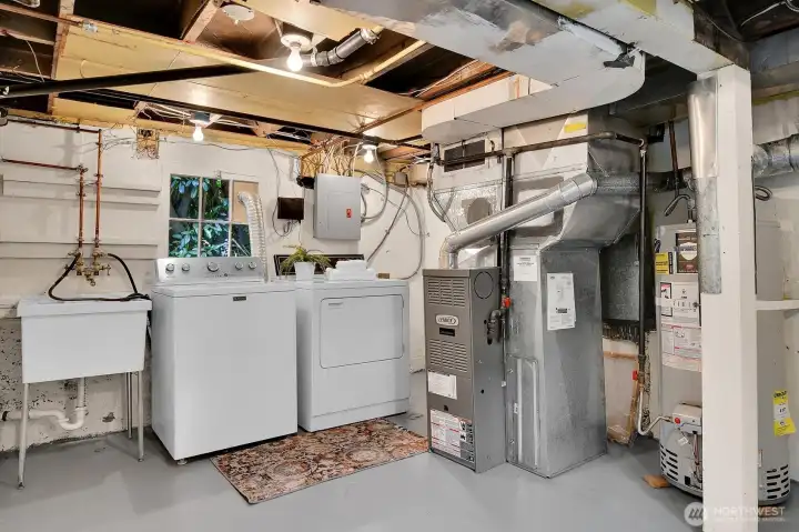 Washer and Dryer in the Basement