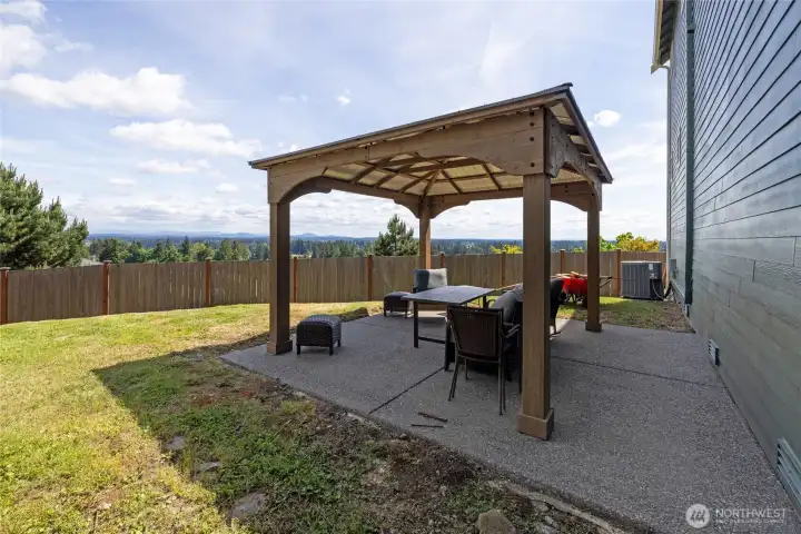 Private gazebo to relax, BBQ, and enjoy Mt. Rainier views