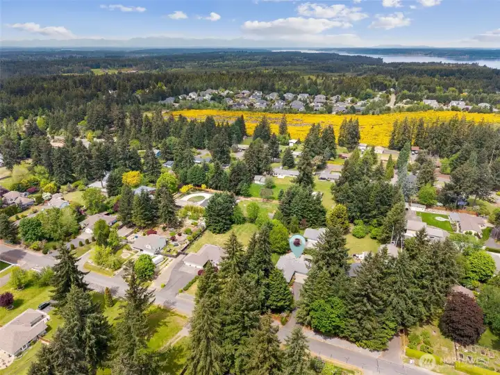 You get the privacy and space of your dreams but close to I-5, all Lacey's ammeneties.