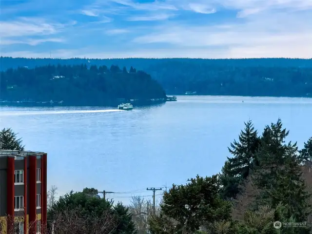 Zoomed in views of the Puget Sound