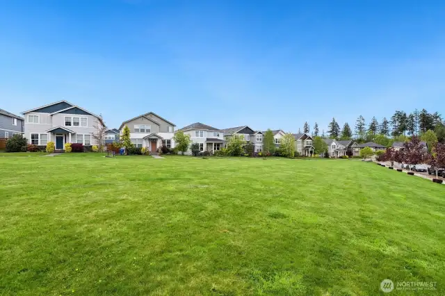 House front yard that opens to a large common lawn where kids play and families gather.