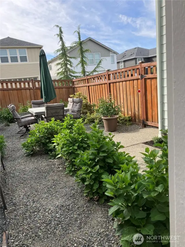 No grass backyard with perennials and herbs. Hydrangeas, peonies, lavender and mints.