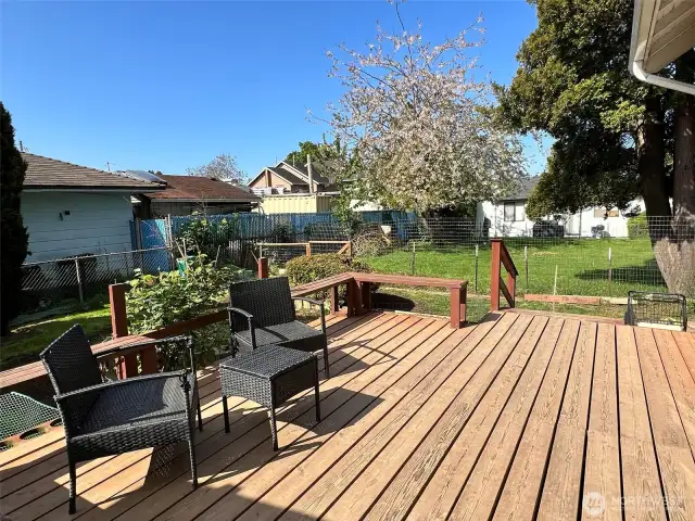 Backyard deck