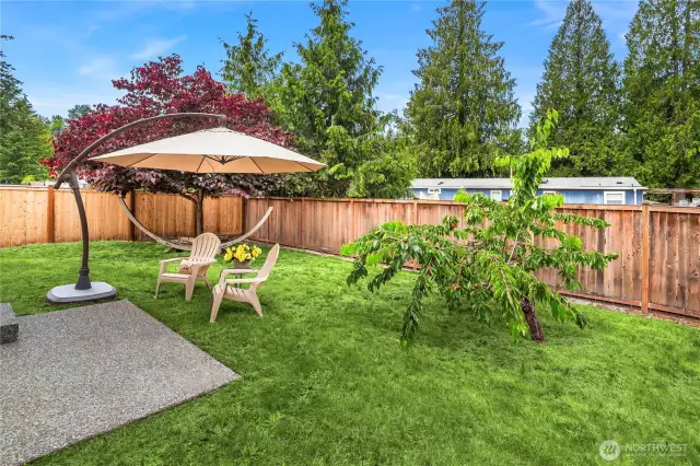 - Cherry tree, patio, and space for a hammock  - Large umbrella for added comfort (will remain with the home).  Grass is now dormant photo enhanced