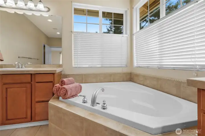 Large soaking tub in primary suite.