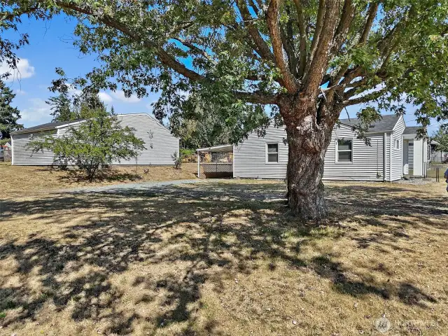 Property is a fully fenced huge .289 of an acre.