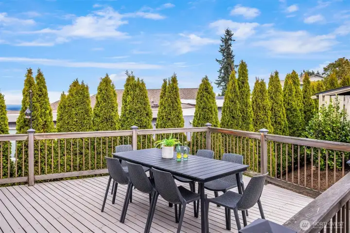 A great space for grilling or a shady spot in the middle of summer. Views of Mt Baker too!