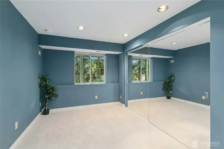 The lower level also offers a 4th bedroom or perhaps an adjunct office?