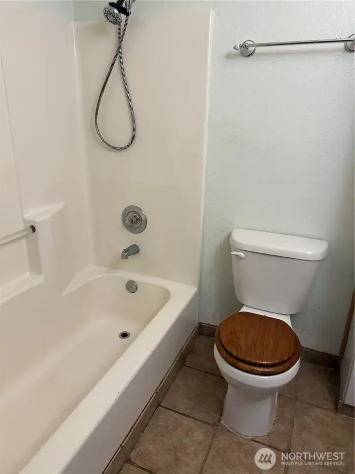 Down stairs full bathroom
