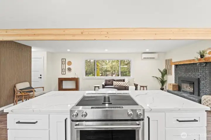 A higher end down draft range for your convenience. The handle to the left of the stove opens a slide out spice cabinet!