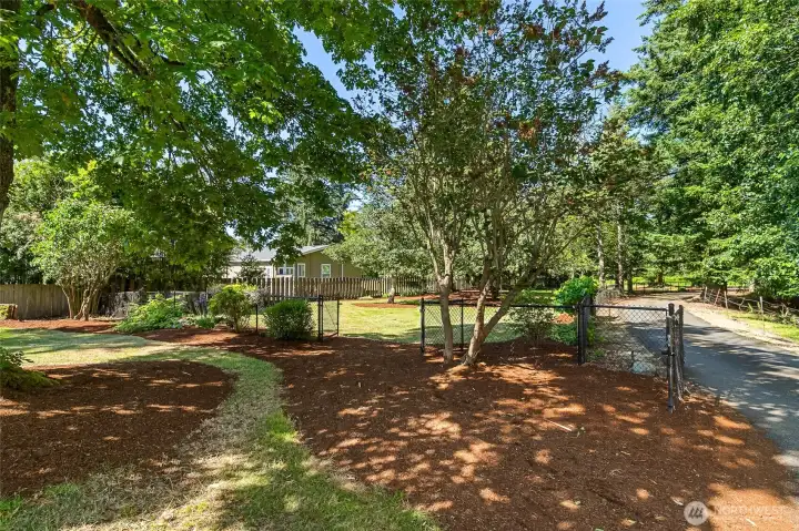 Beauty bark put down on  property in August of '25