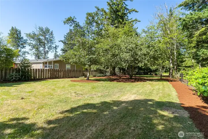 Beauty bark put down on  property in August of '25