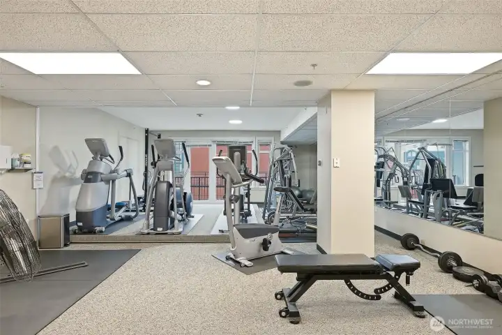Have fun in the gym