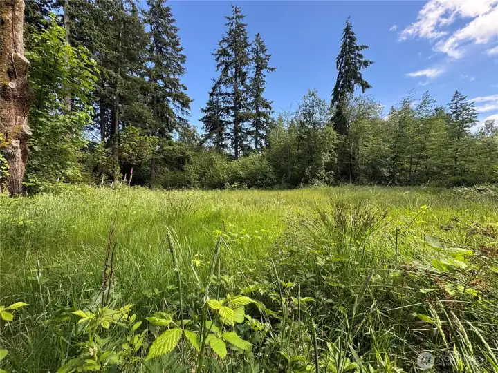 2.52 acres/109,771 sq. ft. is big enough for a sunny meadow and forest trails.