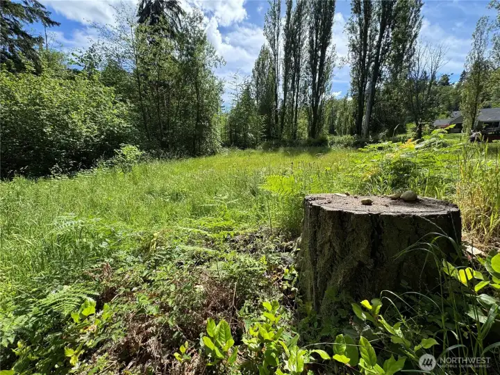 A cleared building site, ready and waiting for your vision.