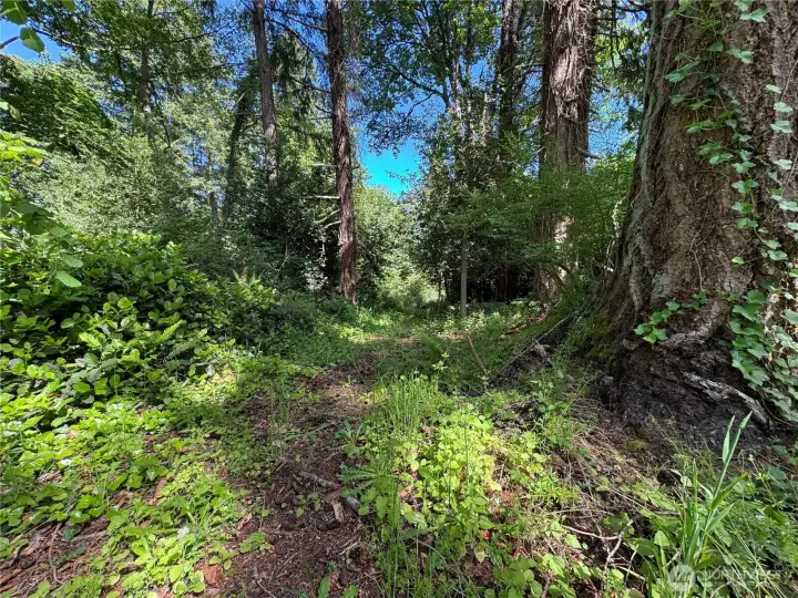Room for your own trails, a fenced dog yard, and a garden.