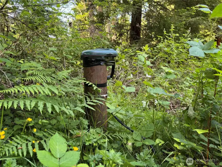 Boring picture, it is exciiting when you realize this is the well! Water is already available for this site, giving you savings and logistical head start. There is also a metered electrical hook up, but that is an even more boring picture.