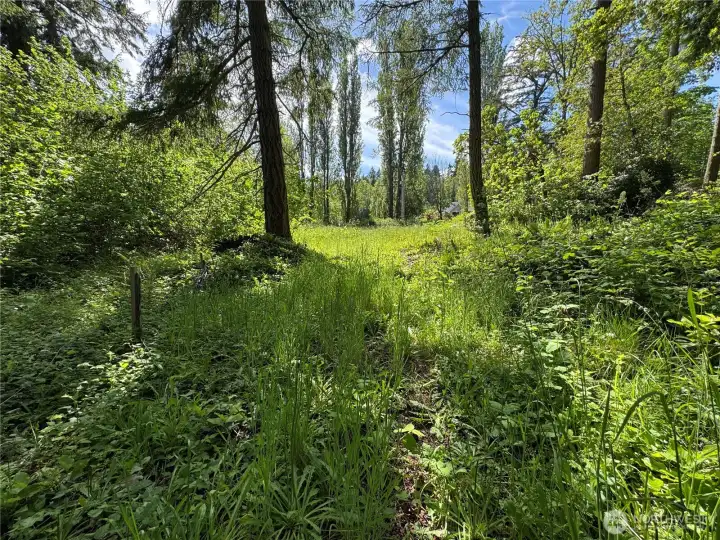 Seclusion, just minutes from Vashon town and the North-end ferry.