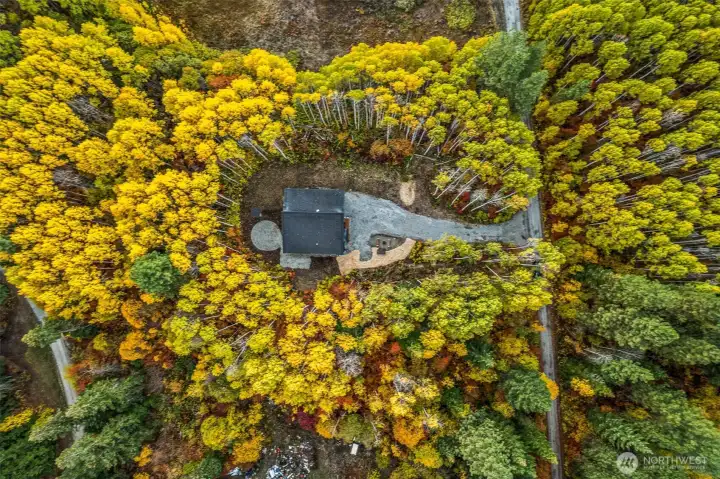 Tucked among a vibrant grove of aspens, this modern mountain retreat offers a rare sense of privacy and connection to nature.