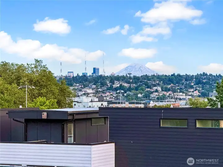 The mountain is out! The mountain is out!