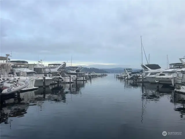 View of Marina and Lake Washington