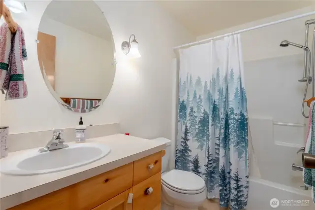 Full bath - basement