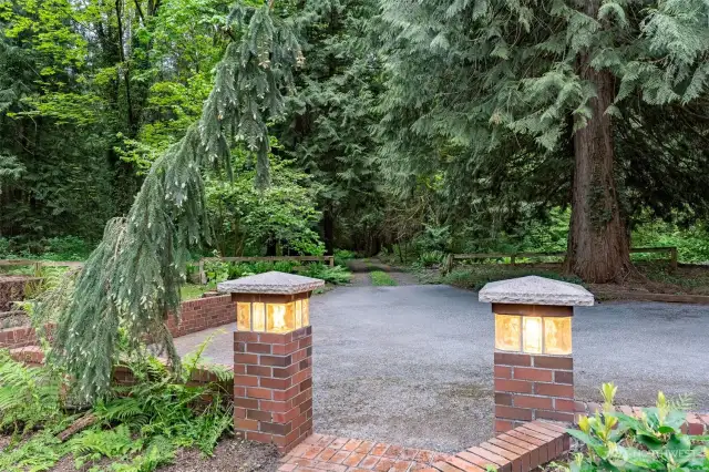 A long driveway through a beautiful cedar forest leads to the home.