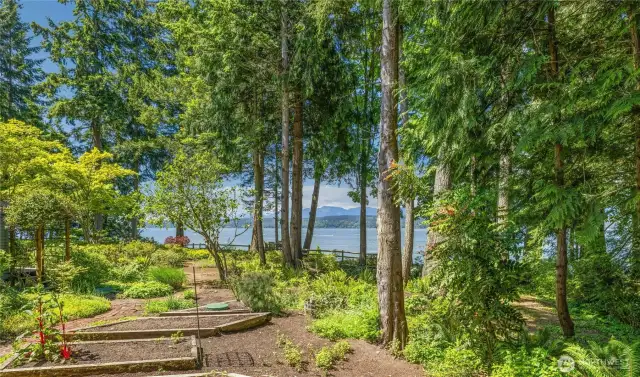 Views from the deck, over raised garden beds to the water