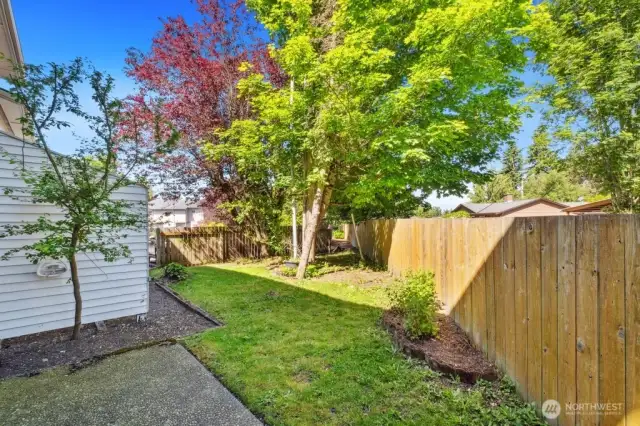 Back yard area for building 121 unit #2 & #3