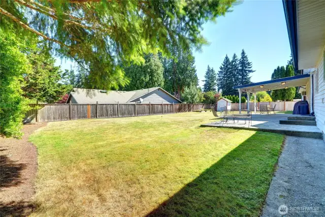 Spacious backyard