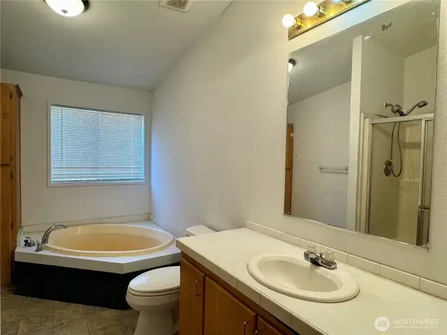 Spacious Primary Bathroom