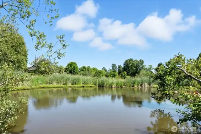 Greenspace